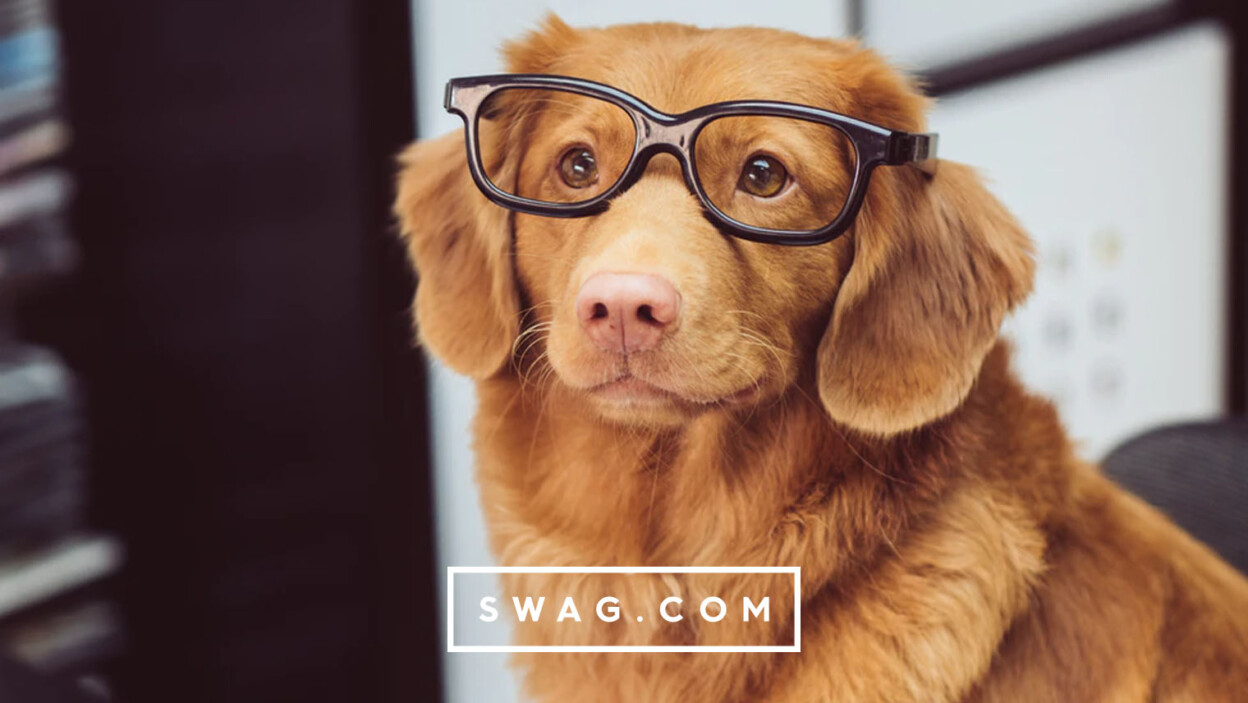 Pet-friendly swag