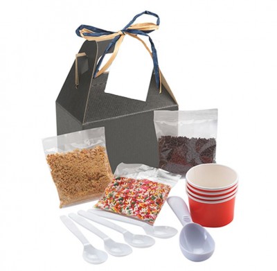 DIY Ice Cream Kit shown with all ingredients outside of the box
