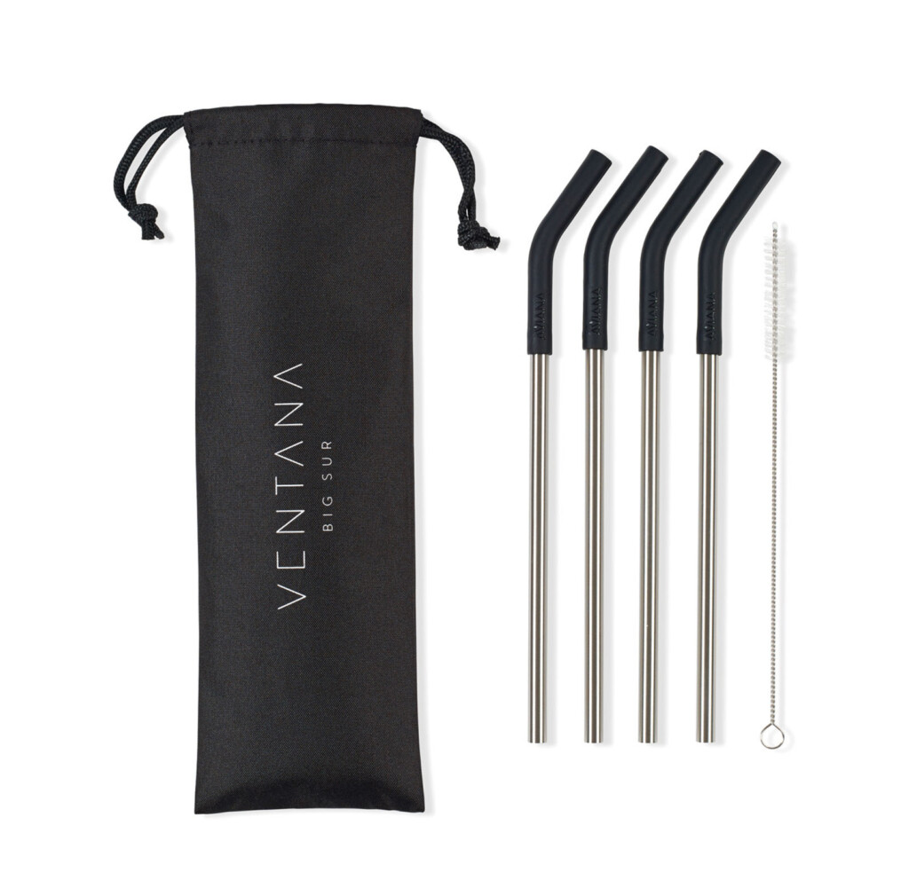 Aviana 4-Pack Straw Set of reusable metal straws with a black travel case and cleaning brush.