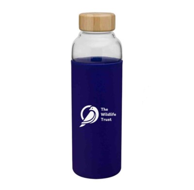 18 Oz. Bali Bottle in Blue with an example logo on the front