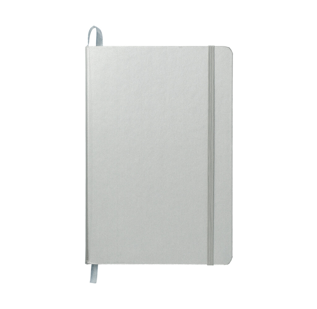 JournalBook Ambassador Journal in Silver